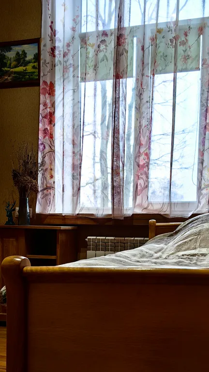 Дом в Беловежской пуще