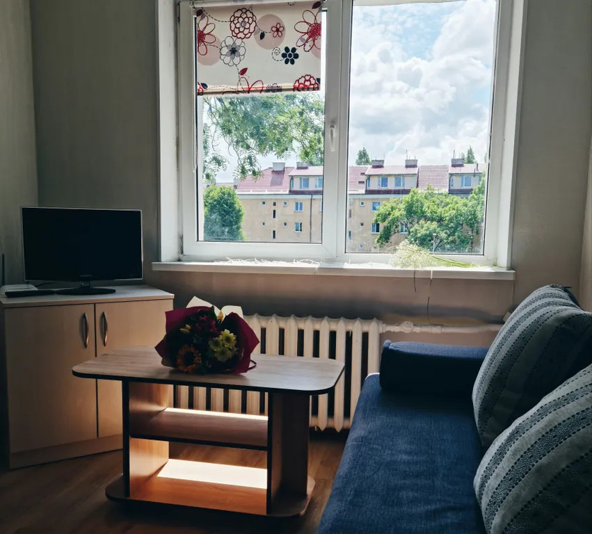 1-комнатная Квартира — аренда посуточно в Калининград