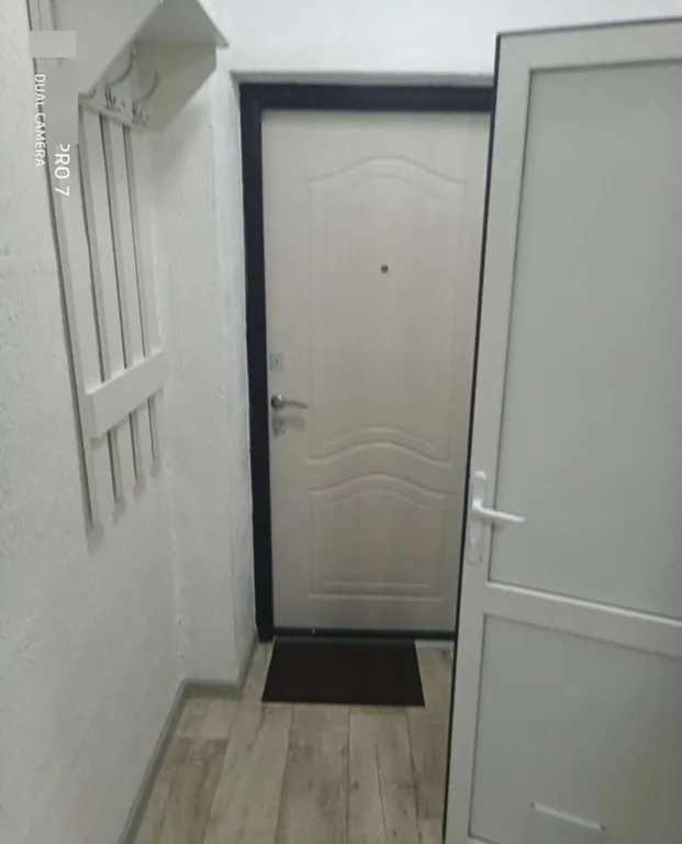 Квартира 1-комнатная Квартира — Сириус