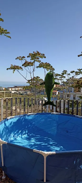 4-комнатный Дом