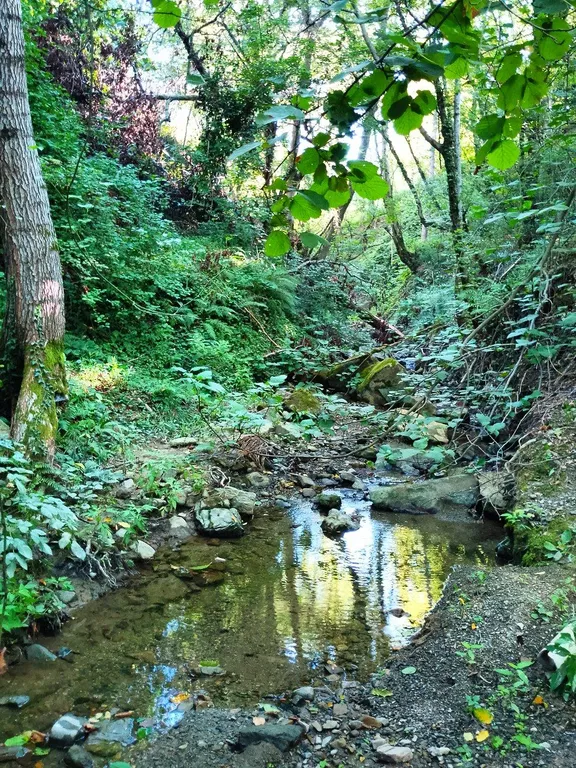 Новый дом в заповедных горах Лоо