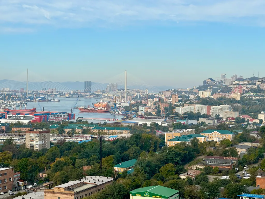 Квартира Квартира Уютная студия с видом на Золотой рог — Владивосток