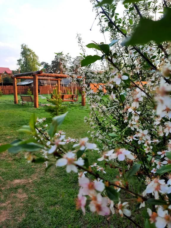 Домик у подножия Аракульского Шихана