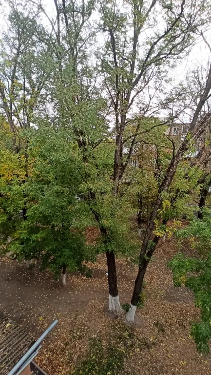 Квартира Уютная квартира в центре города — Таганрог