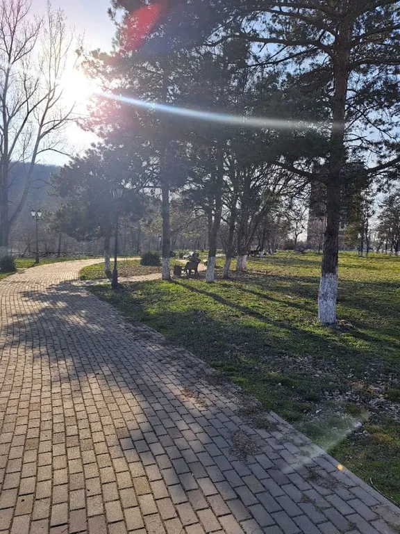 Райский уголок