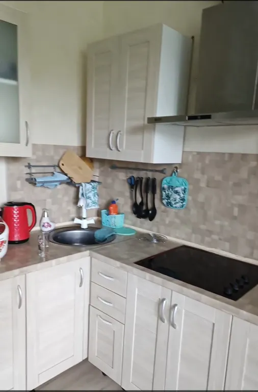 Квартира в парке с видом на пруды