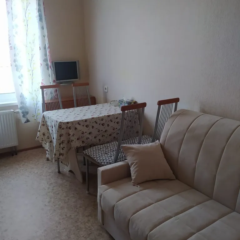 Просторная однокомнатная квартира.