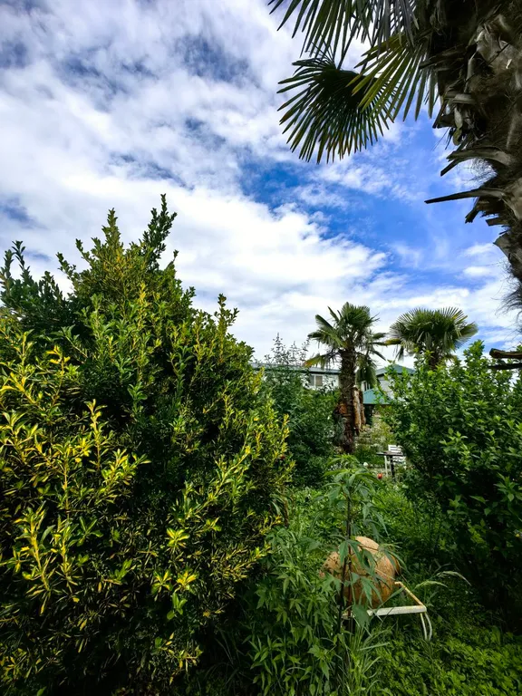 Новая студия в 4 минутах от моря