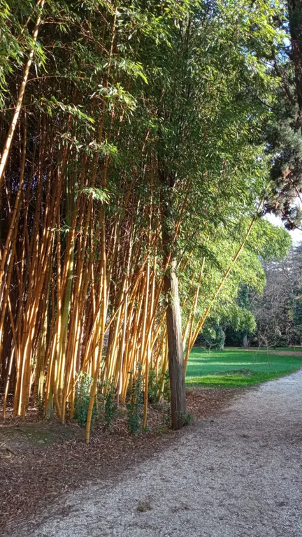 Сакура - 1 комнатная квартира с панорамным видом на море и горы