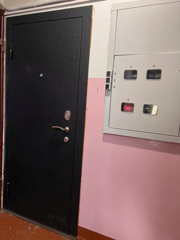 Уютная квартира с удобным расположением — аренда посуточно в Петропавловск-Камчатский