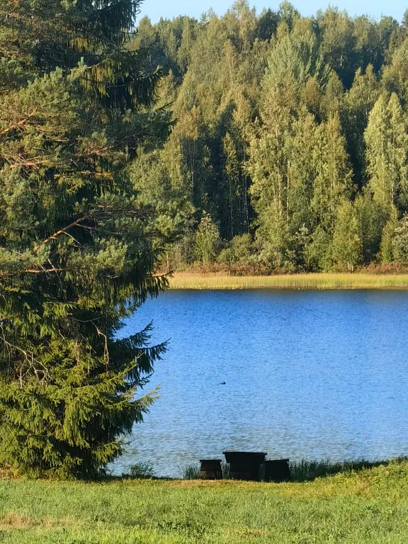 Дом из сруба у воды