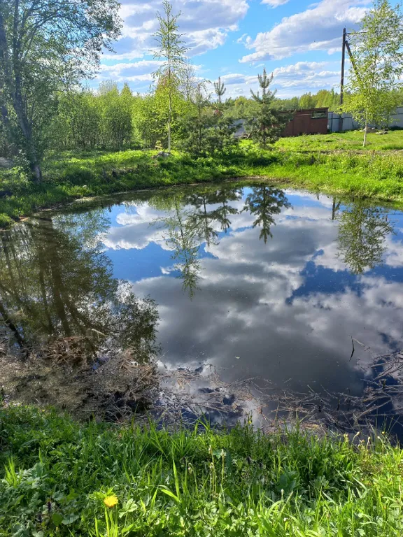 Cдaетcя уютный дoм в тихoм и живопиcном меcте