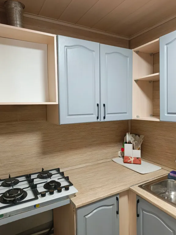 Квартира в загородном доме