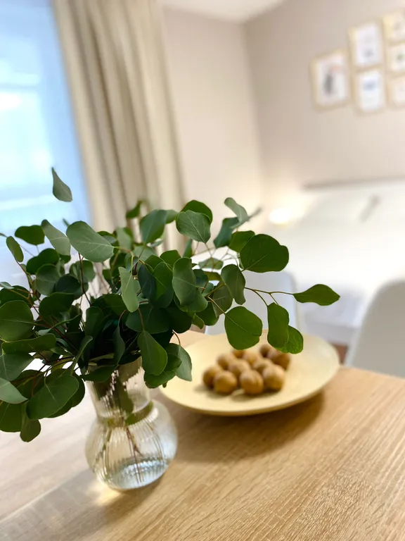 Студия с видом на Каму