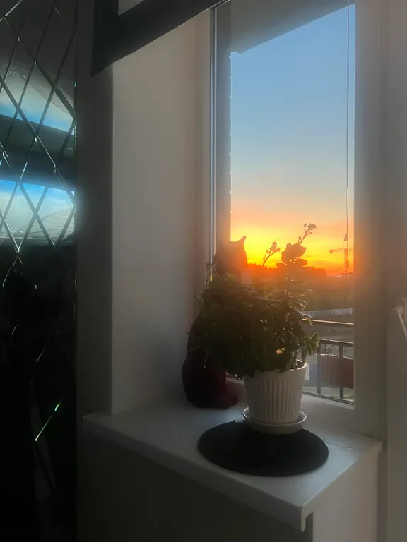 Уютная квартира с видом на море