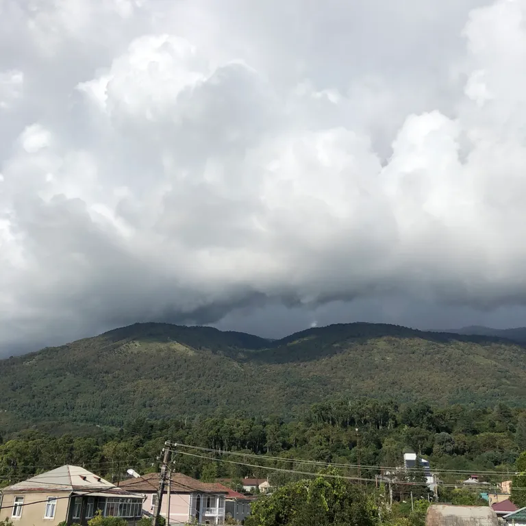 Квартира Комната — Гагра