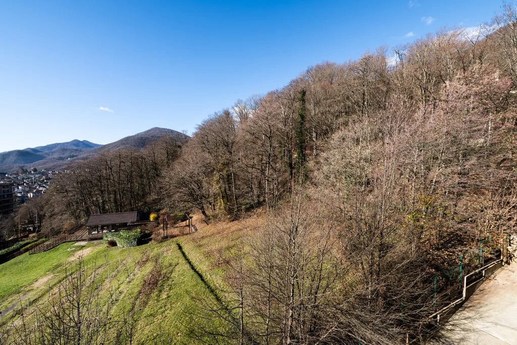 Видовые апартаменты на 3 этаже