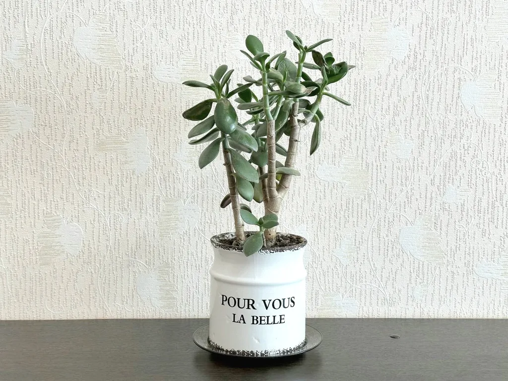 2-комнатная квартира с балконом на Притомском напротив ЛДК