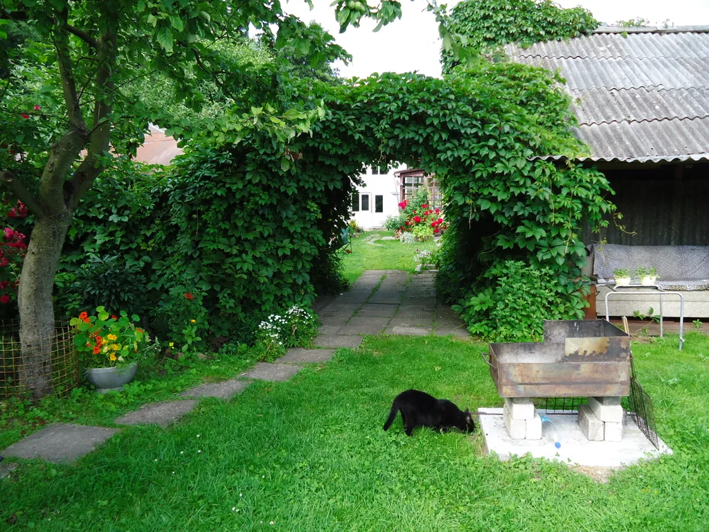 Коттедж Домик для отдыха на Куршской косе в пос Рыбачий — Рыбачий