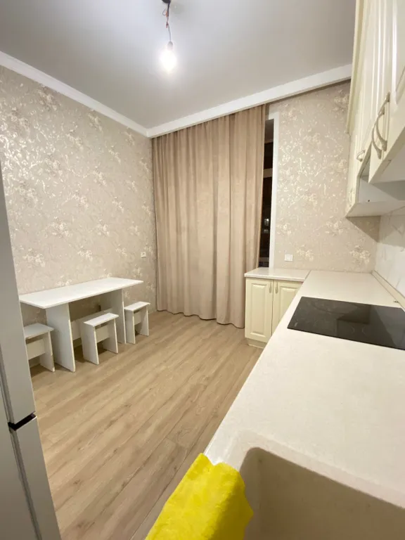 Однокомнатная квартира на Левом берегу