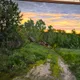 Полина