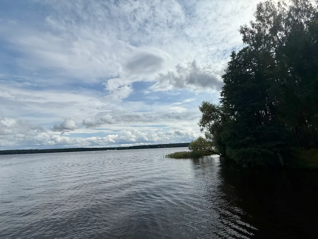 Дом березки