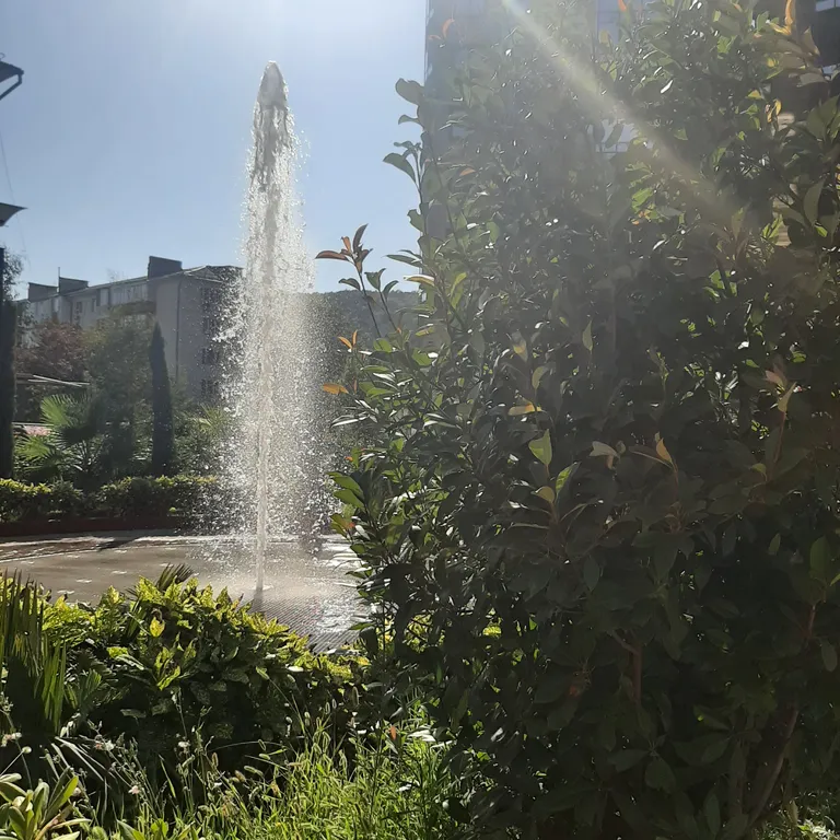 Райский уголок у Черного моря