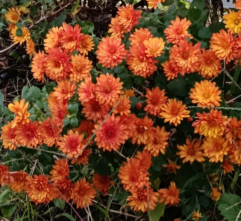 Двухкомнатные апартаменты на берегу моря