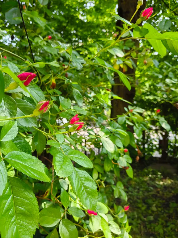 Арт-квартира в историческом квартале