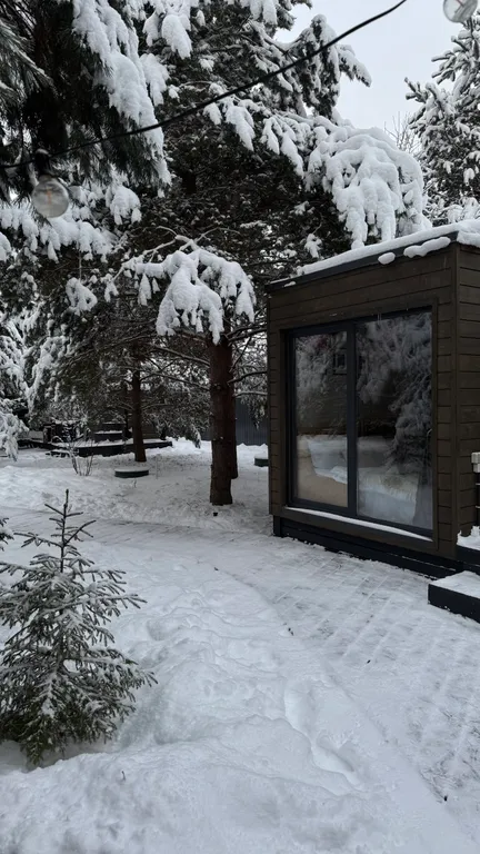 Скандинавский дом с ванной внутри и видом на лес