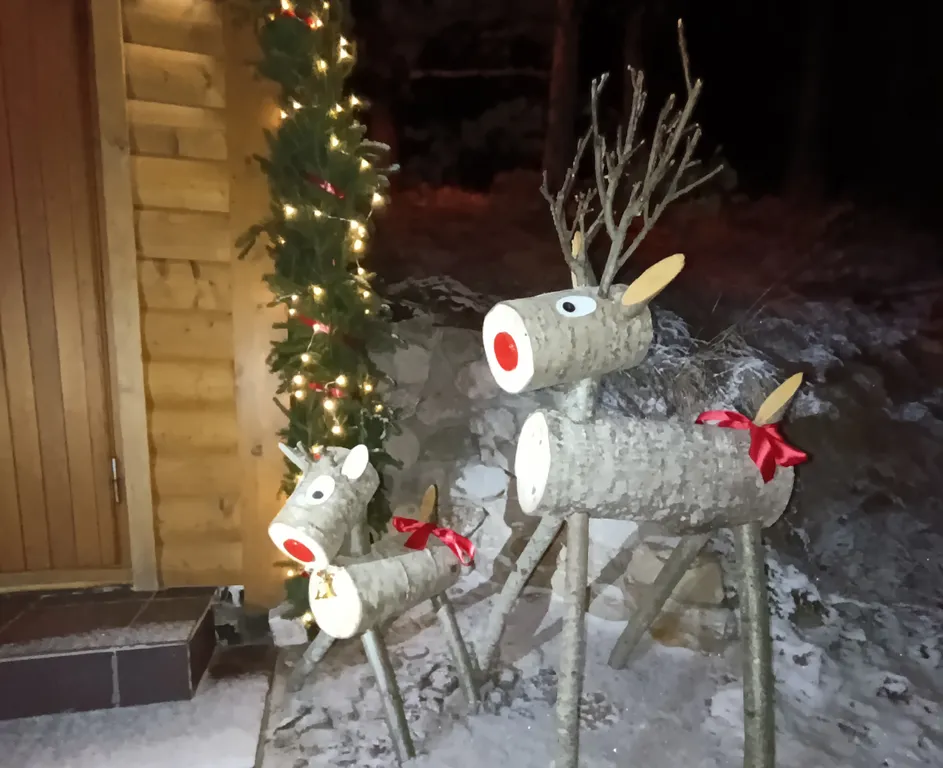 Коттедж Коттедж с камином на хуторе Янтула — Беличье