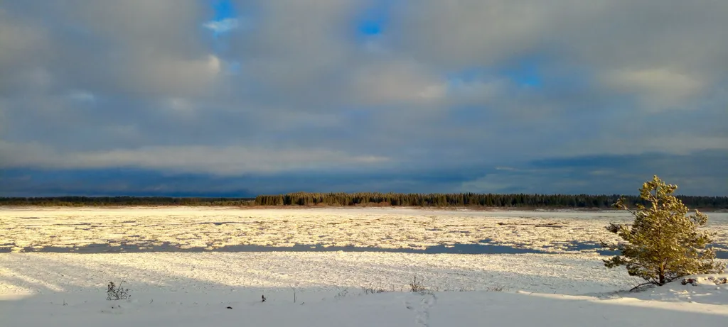 Дом с баней на берегу Северной Двины