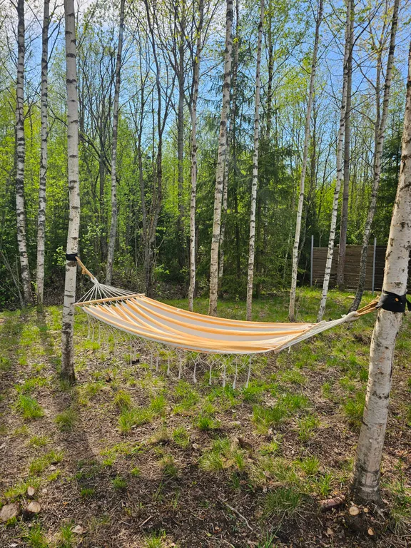 Дом-шалаш(один) с видом на лес