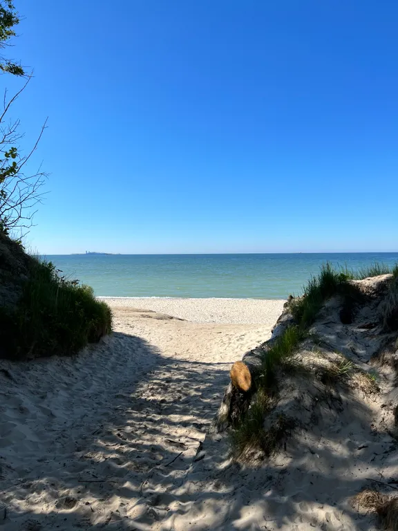 Коттедж Дом для отдыха семьей — Сокольники