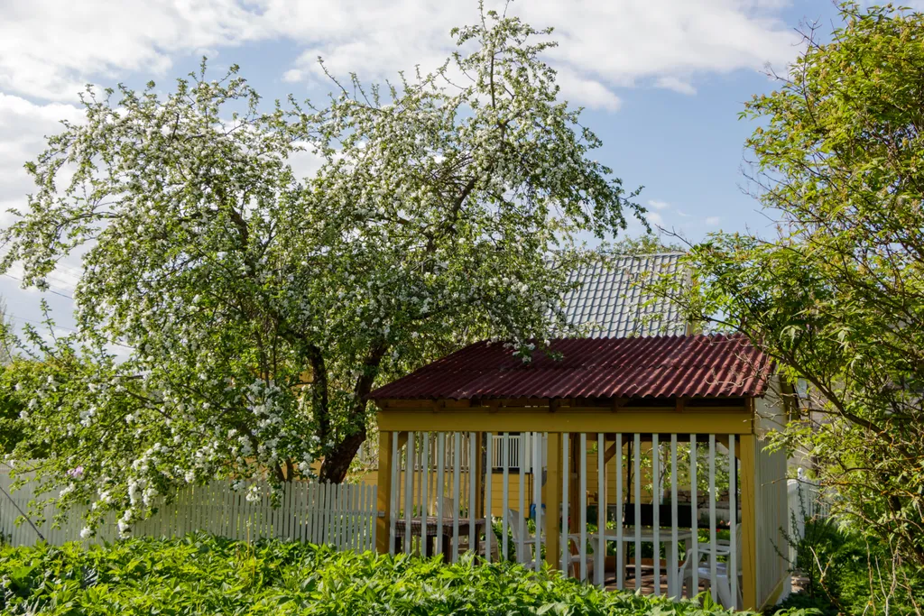 3-комнатный Дом