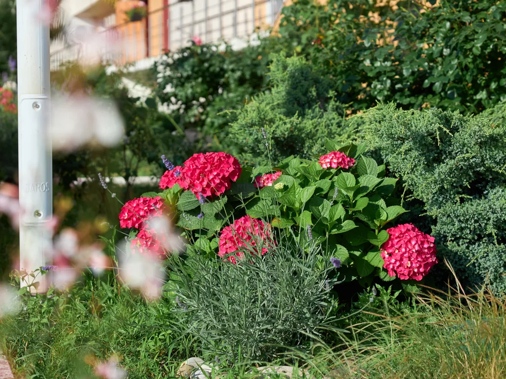 Люкс апартаменты с видом на море