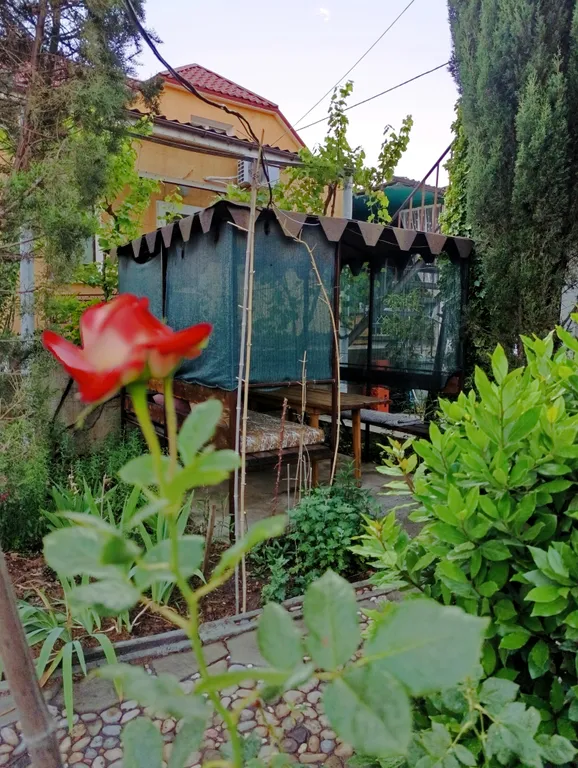 Уютное гнёздышко для двоих.