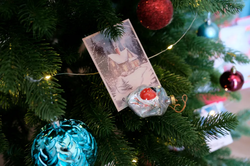 Апарт Афрейм в Чемальской долине