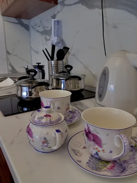 Квартира Квартира Студия рядом с НИИ Петрова — Песочный