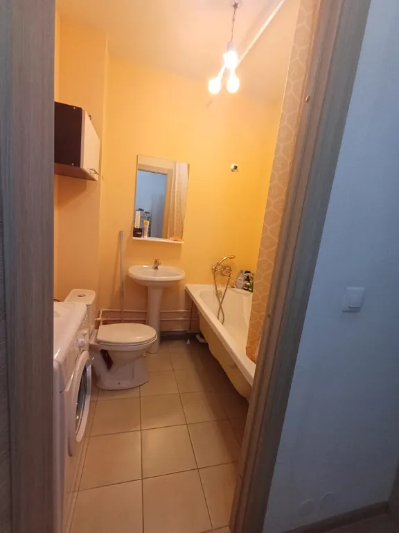 Уютные апартаменты в центре академа