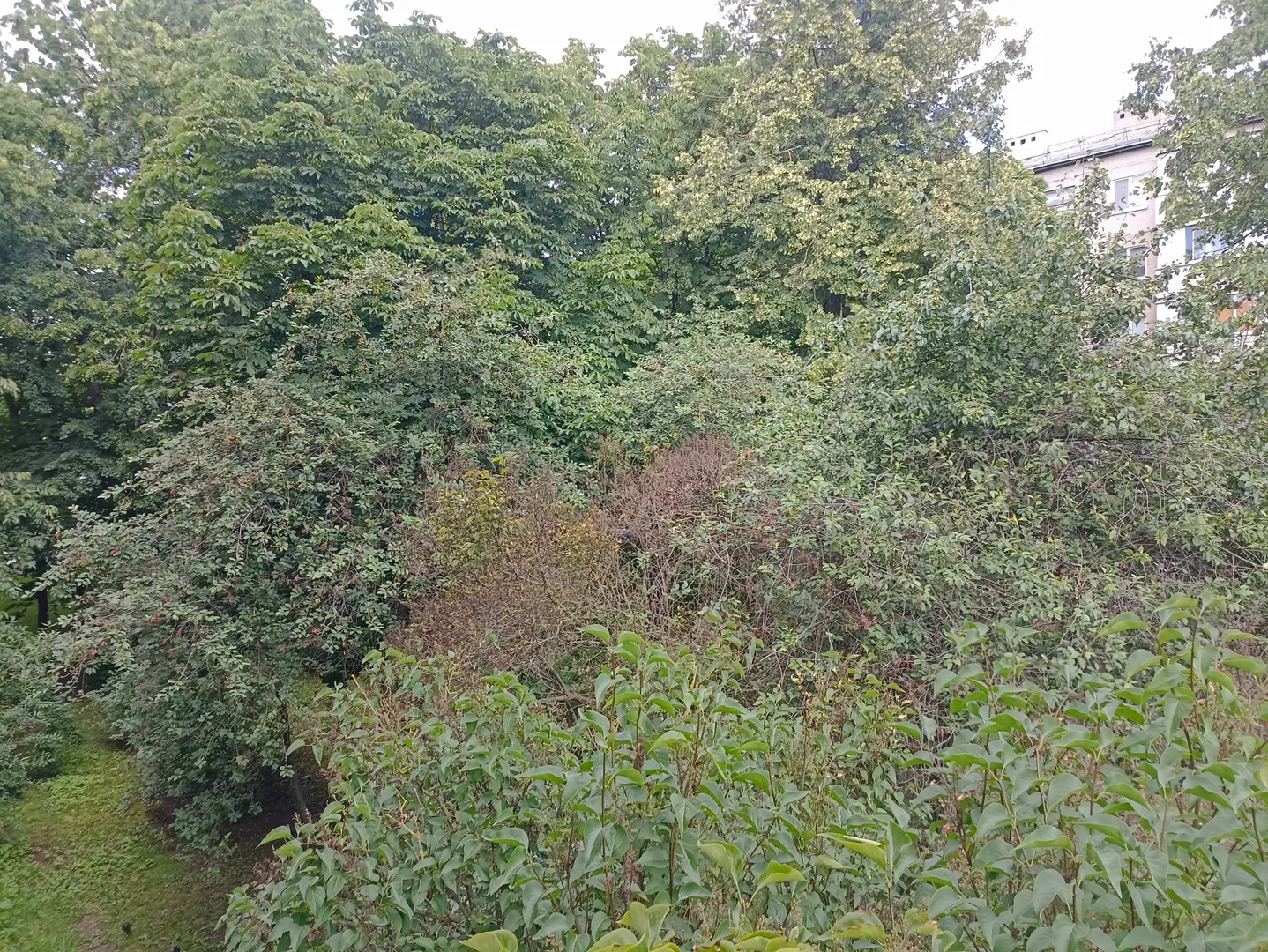 Вид с балкона 