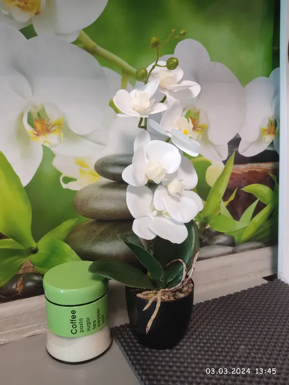 Уютная квартира с огромной кухней, городской пляж рядом