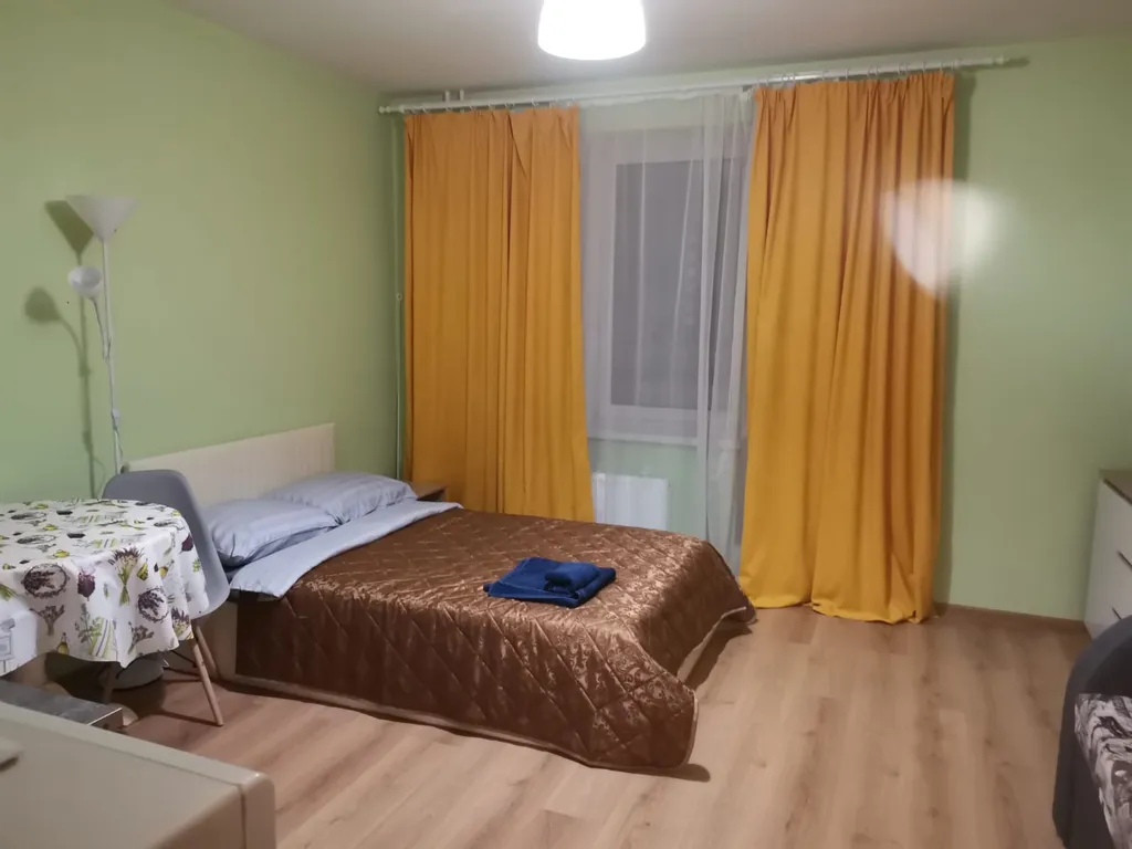 Квартира Квартира Уютная студия рядом с НИИ Петрова Гранова Напалкова — Песочный