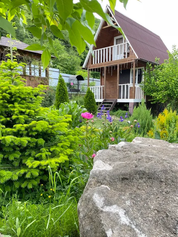 Домик у леса