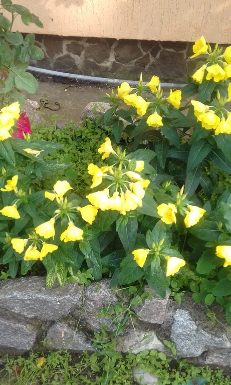 Коттедж Дом Морской бриз — Феодосия