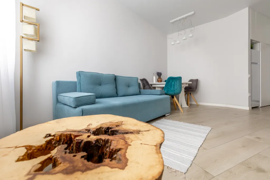 Пентхаус с панорамным видом на реку неман