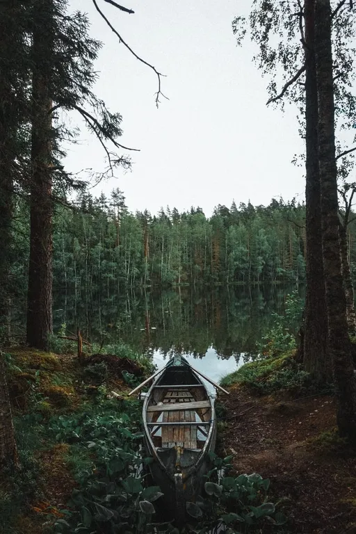 Коттедж комфорт класса с видом на лес