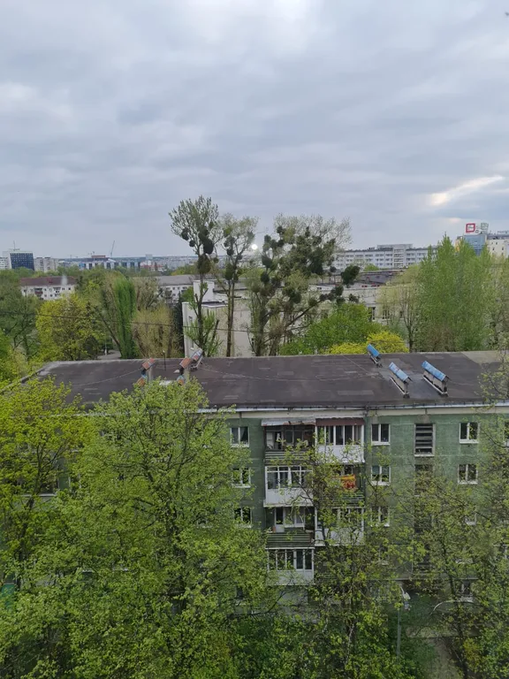 Квартира Уютная квартира в центре города — Калининград