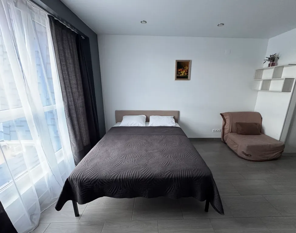 Квартира 1-комнатная Квартира — Сириус