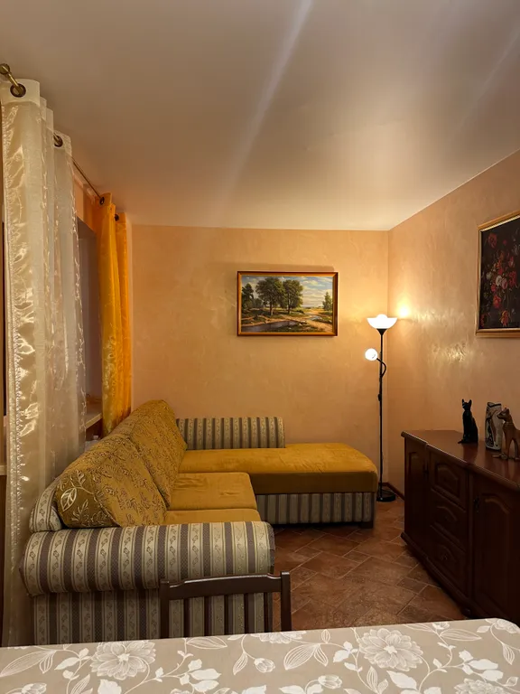 Большая однушка в центре города с отдельной спальней